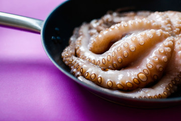 Octopus in a frying pan