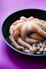 Octopus in a frying pan on a purple background