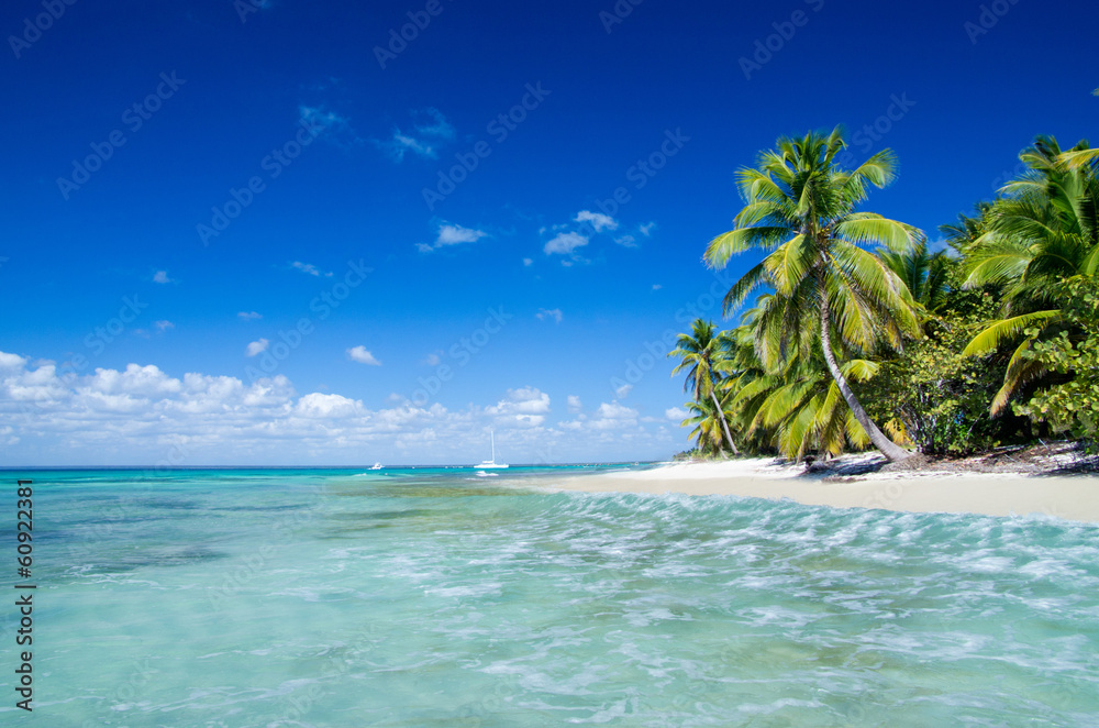 Canvas Prints tropical beach