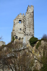 Fototapeta na wymiar Drachenfels Ruine