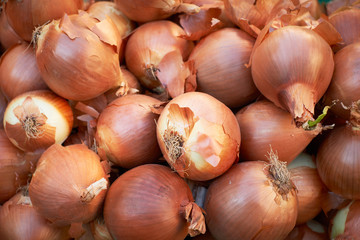 Fresh onions for sale