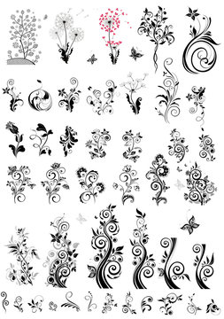 Decorative floral design elements (black and white)