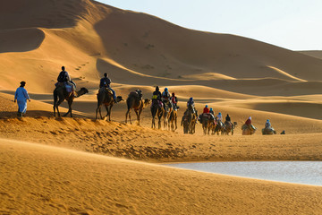 Fototapeta na wymiar Karawana wielbłądów przechodzących turystów na pustynne jezioro