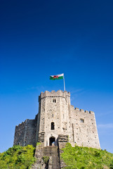 Cardiff views © travelwitness