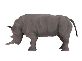 Obraz premium サイ