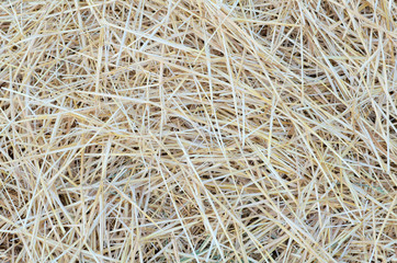 Pile of Straw Close-up