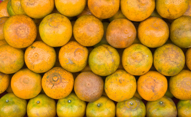 Group of the oranges
