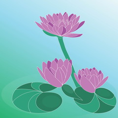 Lotus flower. Hand drawn vector art