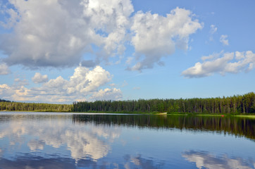 Forest lake