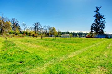 Farm with greenhouse
