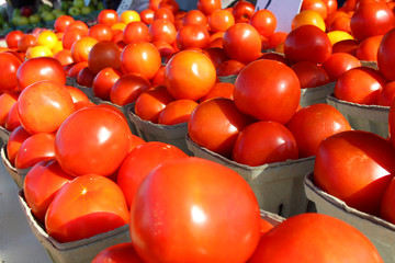 Stacks of Tomatoes at Famer's Market
