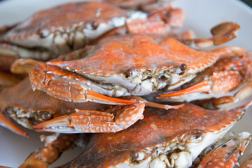 Close-up steamed blue crabs - 60934777