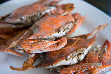 Close-up steamed blue crabs - 60934778