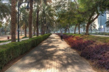 Fototapeta premium Park