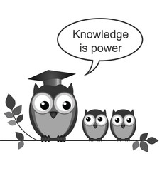 Owl teacher knowledge is power message