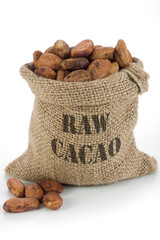 Cacao beans