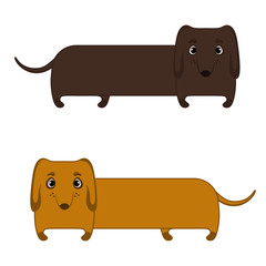 set dachshunds