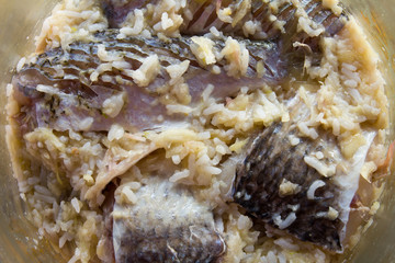 Closeup background blur of pickled fish, a preservation