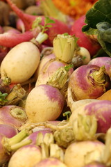 close up Radish in market