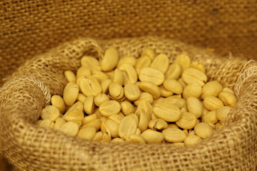 coffee bean in sack bag, before roast