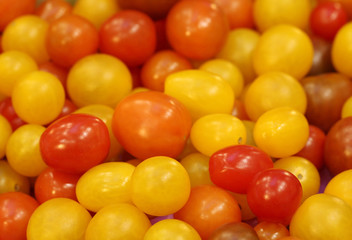 Fototapeta na wymiar close up small colorful tomato