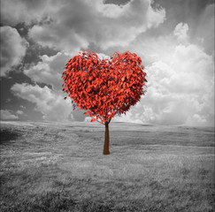 Fototapety  Drzewo w kształcie serca