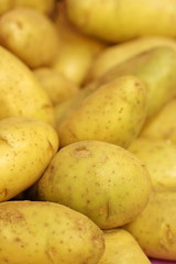 close up fresh potato in market