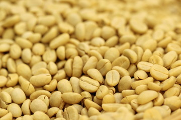 white raw coffee bean before roasted
