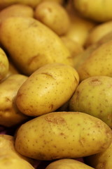close up fresh potato in market