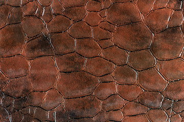 Brown leather texture closeup
