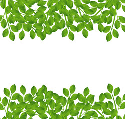 background for a design with green branches