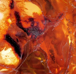 Beautiful natural Baltic amber in bright colors