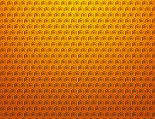bee cells wallpaper