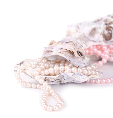 Shells with pearls, isolated on white