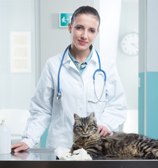Veterinarian and Cat
