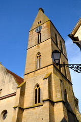 Fototapeta na wymiar Kościół Świętych Piotra i Pawła, Colmar, Alzacja, Francja
