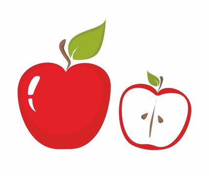 Red apple vector illustration