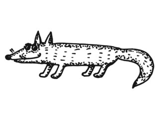 sketch illustration of fox