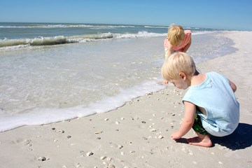 Young children hunting for sea shells on the beach by the ocean