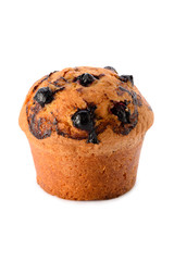 Blackcurrant muffin