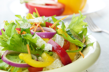 Healthy vegetable fresh organic salad