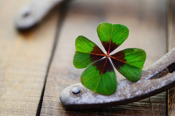 Hufeisen © photocrew