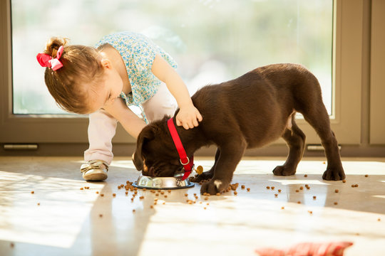 Cute little girl feeding her puppy