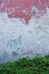 Hintergrund Wand und Bodenbewuchs