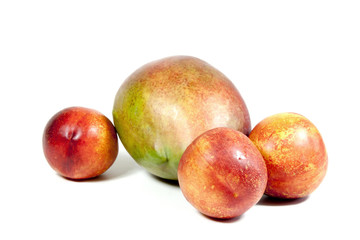 Three Nectarines And Ripe Tropical Mango On White