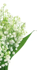 Selbstklebende Fototapeten Lily of the valley isolated on white © wolfelarry