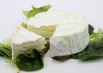 camenbert, fromage de normandie