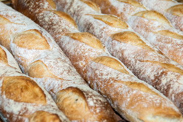 Bread-French baguettes