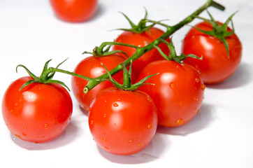 red tomato