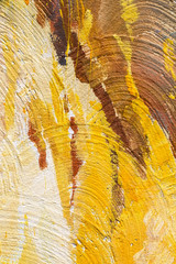 colorful background painted on the wall brush